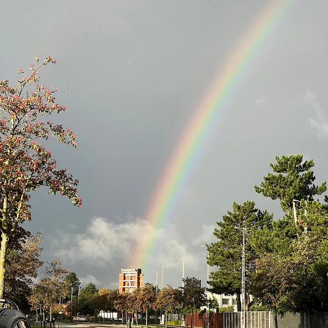 Karlslunde strandkirke